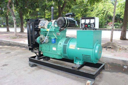 新政镇发电机不发电的原因